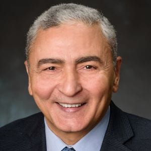 Image of Elsayed Aziz