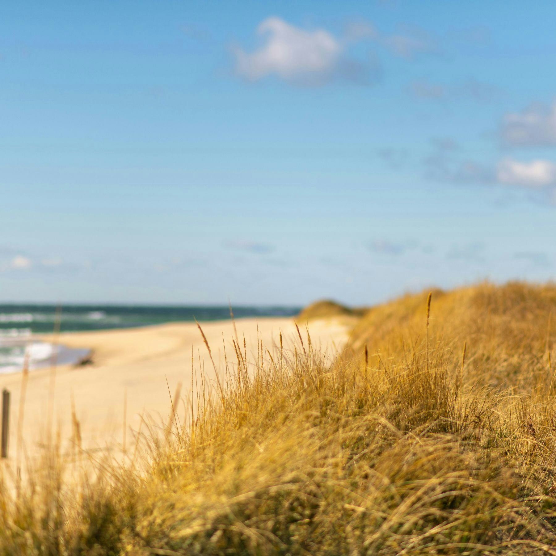 A sand dune and a beach