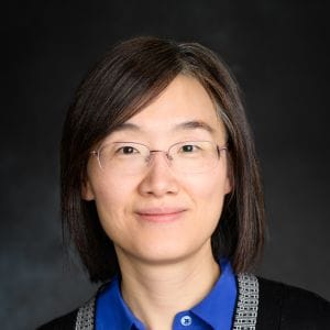 Image of Hui Wang