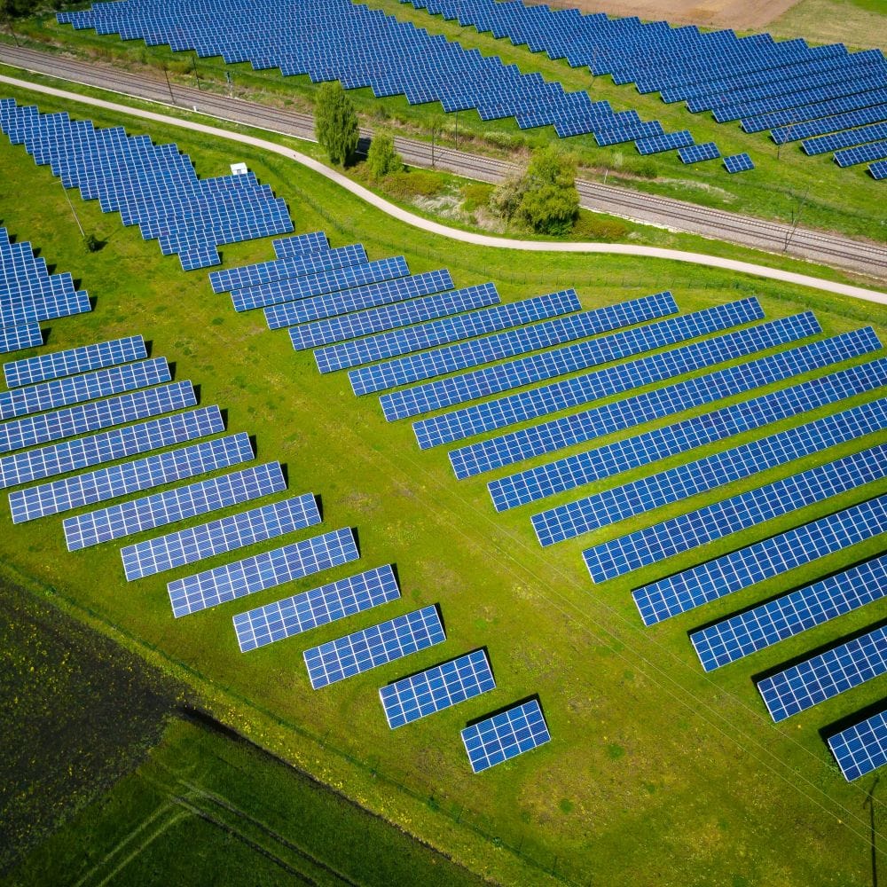 Solar panels in a field