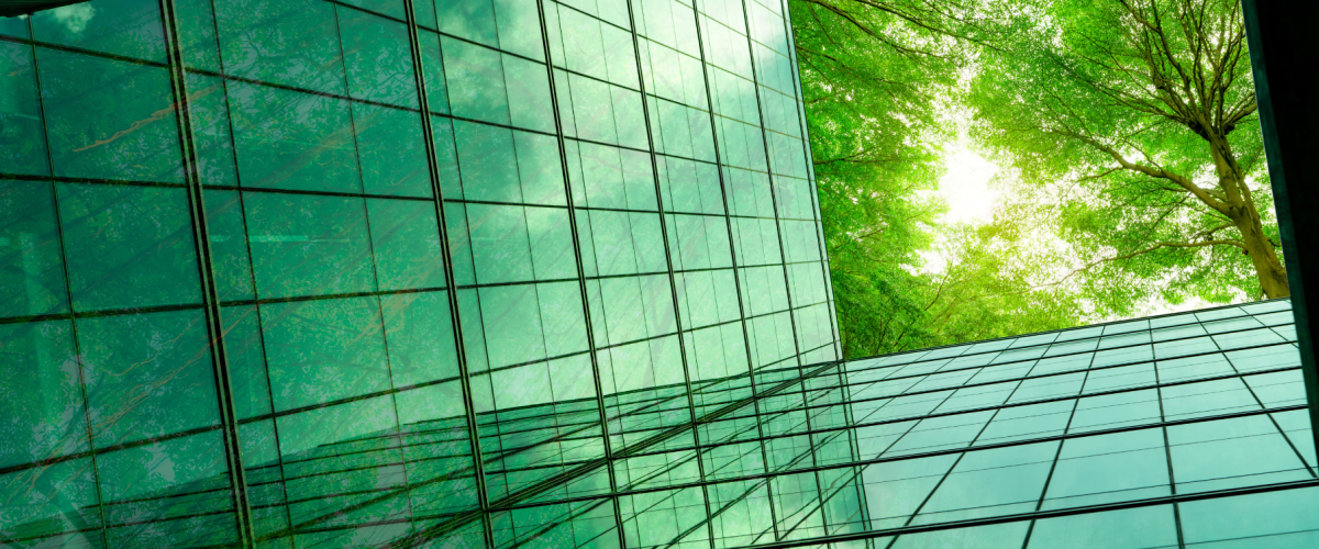low-angle shot of a glass building, trees and the sky