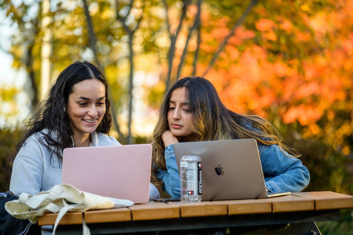 Students study together on laptops
