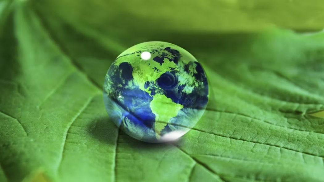 Green earth on a leaf