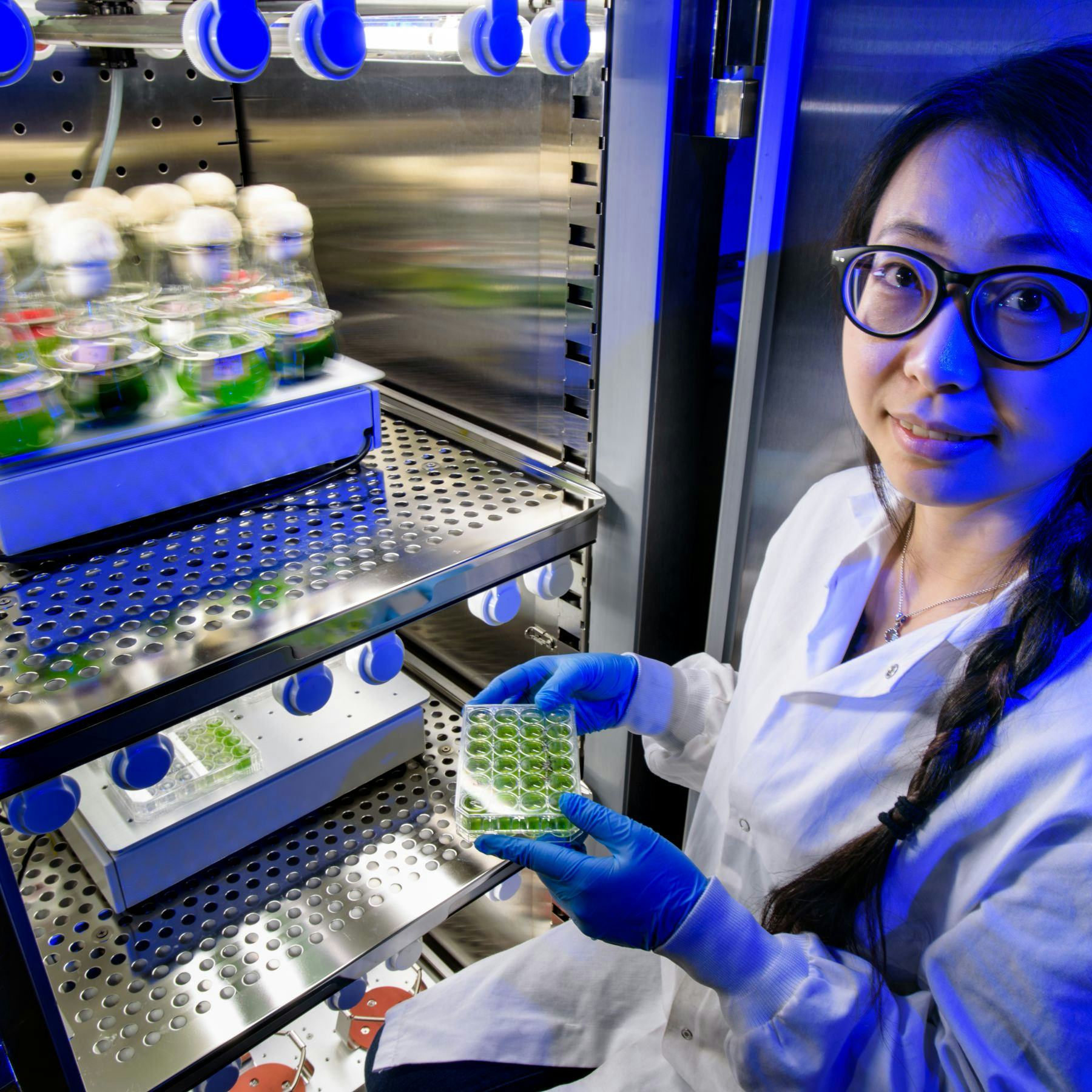 Student holding beaker of algae in purple-lit lab